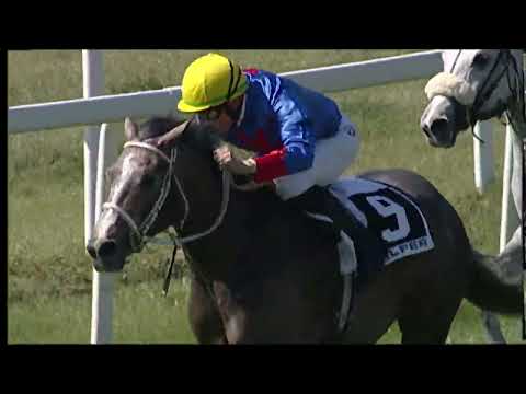 2023-04-06 corsa 2 m.1500 Premio NOA NOA Wathba Stallions Cup