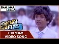 Shanthi Kranthi Movie Yedi Nijam Video Song Nagarjuna Juhi Chawla Shalimarcinema
