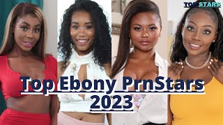 Top Ebony Stars 2023 Part 4 - Top Black Stars - Ebony Stars 2023