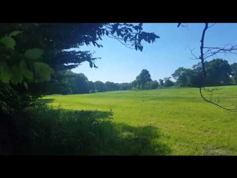 Nature Sounds of Forest and Meadow