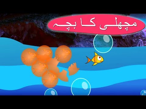 chulbuli urdu poem chulbuli urdu poem