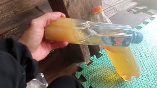 Phân Biệt Mật Ong Nguyên Chất Và Mật Ong Pha Đường