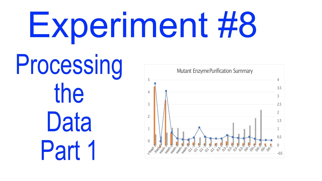 Processing the Data from Experiment 8   Chromatography
