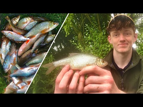How to Catch Roach on the Waggler - Fishing Explained!