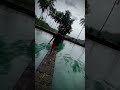 SREEKRISHNAPURAM TEMPLE Palakkad Pond Templepond Shorts Travel Kerala Onedaytrip