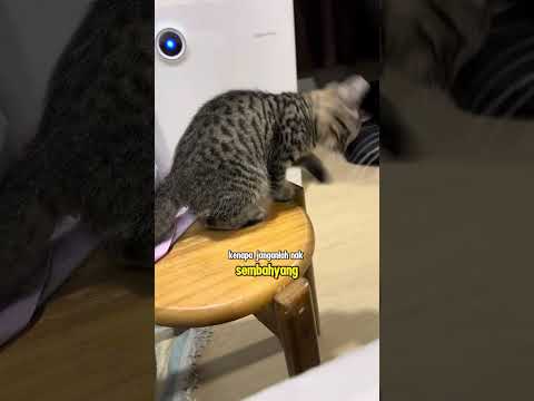 Ajin's little brother doesn't want to take a bath