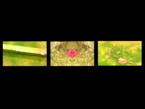 gonshai pahlavi which flower