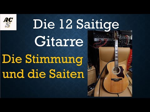 Die 12 Saitige Gitarre | Wie heißen die Saiten und wie wird gestimmt ? | Takamine EG523SC-12