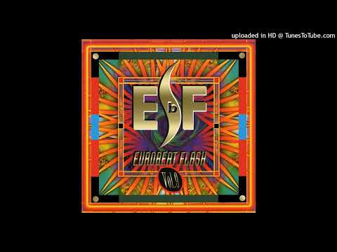 The Flippers - You're In Danger