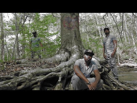 Donny Arcade - You're Perfect