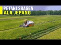 Pakai Mesin Panen Padi Tercanggih Petani Bisa Panen Cepat