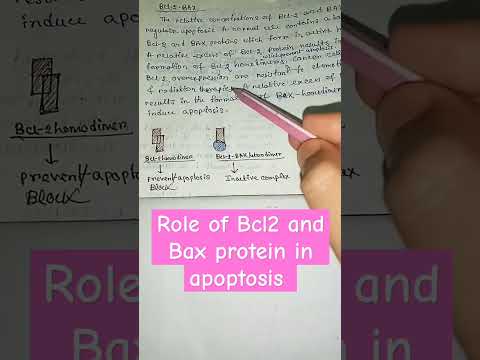 BAX: The Apoptosis Regulator | Community Health