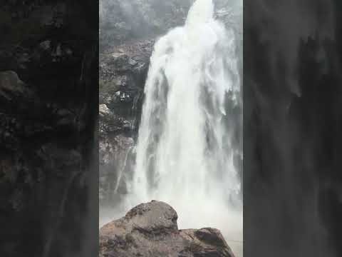 Cascada, Salto del Buey La Ceja Antioquia 🌊🫧