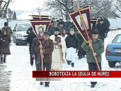 BOBOTEAZA LA ŞEULIA DE MUREŞ