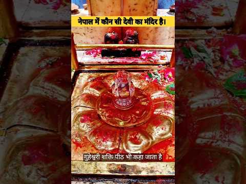 नेपाल में कौन सी देवी का मंदिर है || Guhyeshwari Shaktipeeth Temple #viral #ytshorts #shortvideo