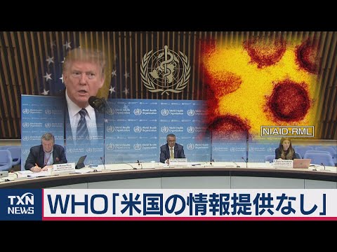 コロナウイルスの起源は解明された?研究者らがスペインで証拠を発見