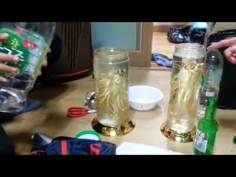 Yang memperbesar pertumbuhan penis Anda Produk terbaik untuk harga potensi