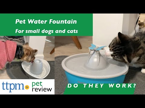 Water Fountains for Cats and Small Dogs from PetSafe | Do They Work? | (We Tested Them All)