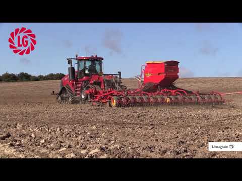 Acacia Winter Oilseed Rape