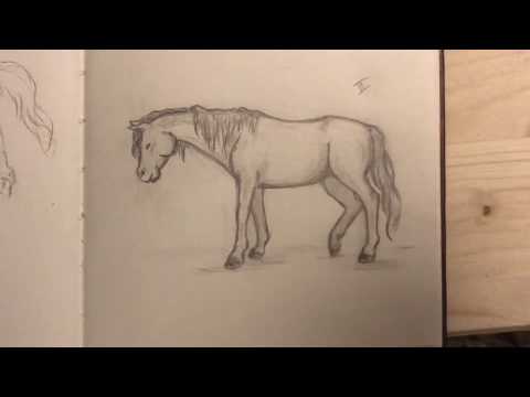 Wie zeichnet man ein steigendes pferd - Wie zeichnet man