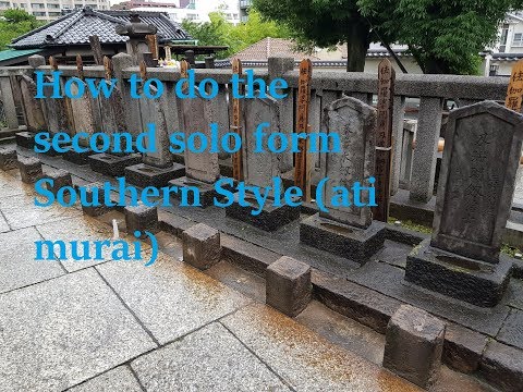 Lesson 18. How to do the second solo form Southern Style Kalaripayattu, from Tokyo Japan