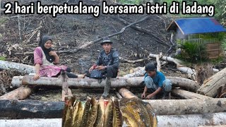 Download lagu 2 hari berpetualang bersama istri berburu ikan di ladang hutan mp3 Download lagu 2 hari berpetualang bersama istri berburu ikan di ladang hutan mp3