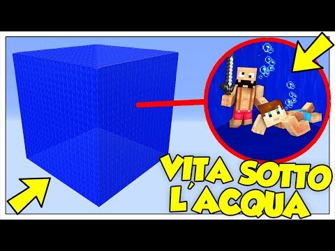 SI PUÒ SOPRAVVIVERE IN UN CUBO DI ACQUA? - Minecraft ITA