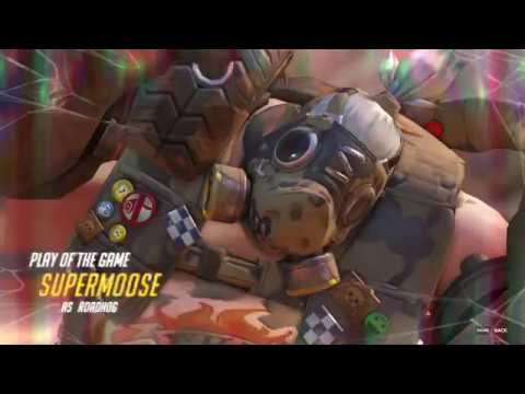 Roadhog Quad