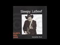 SLEEPY LaBEEF (Smackover, Arkansas, U.S.A) - Bright Lights, Big City