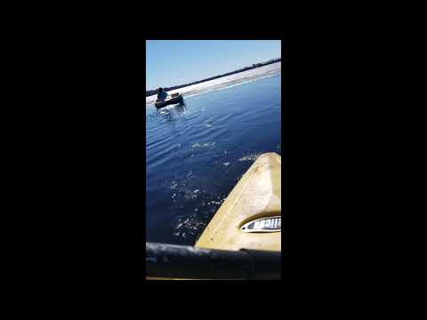 4/19/19 ----- Kayaking