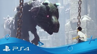 The Last Guardian video 2