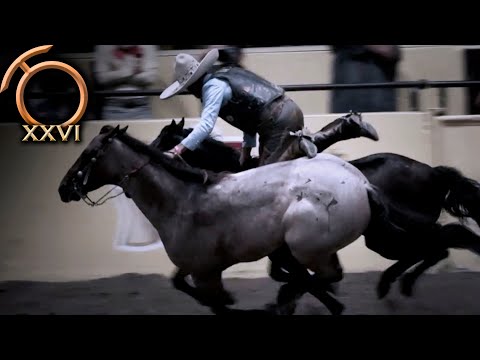 Adrenalina Charra - Paso de la Muerte, August 31 - THV Millionaire Championship 2023