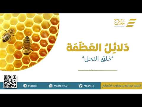 دلائل العظمة في خلق النحل