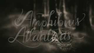 South and South 3: Amphibius Atlanticus / Poison Frog