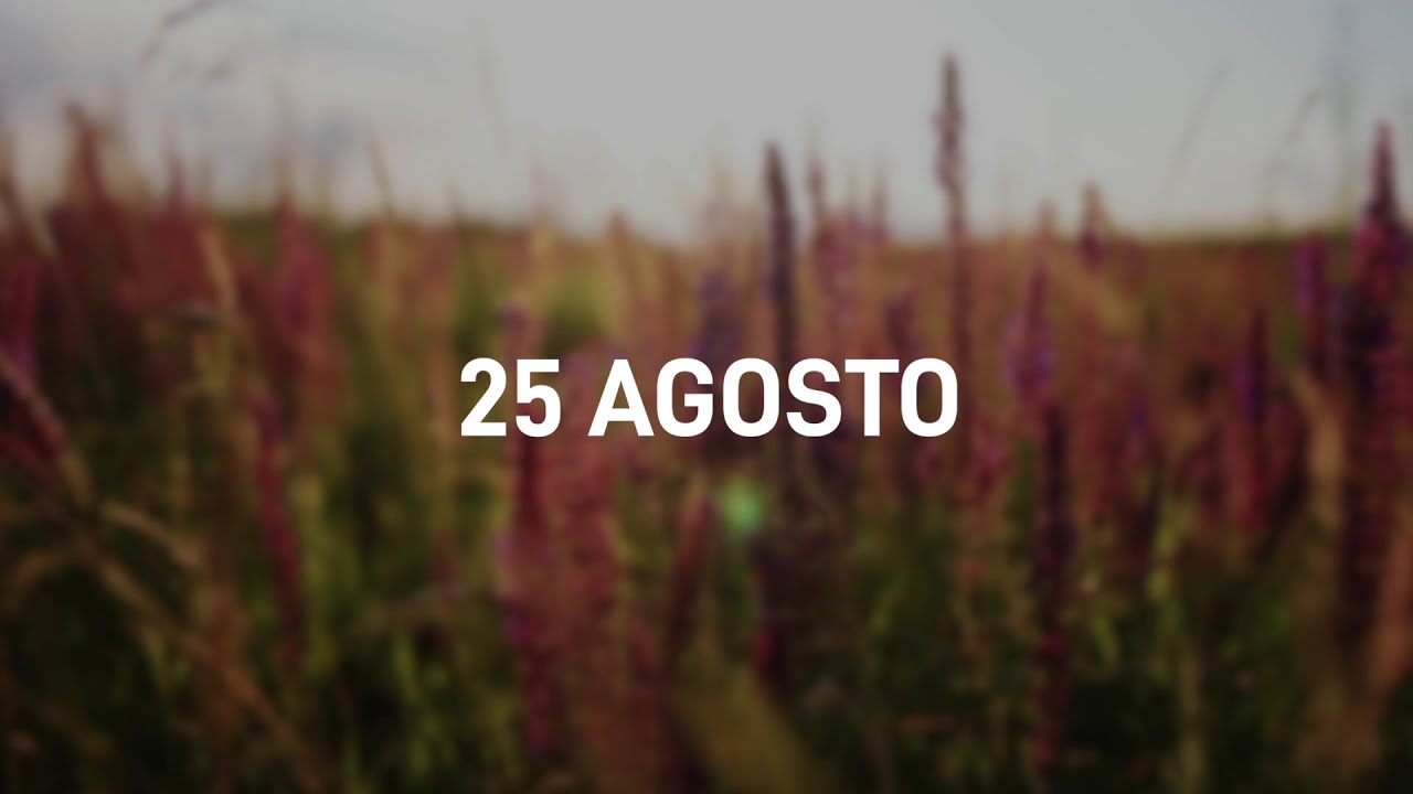 25 Agosto 2025 | Meditazione Parole di Vita