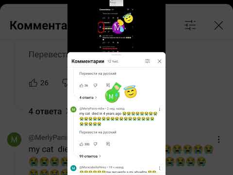 20 апреля 2025 г.