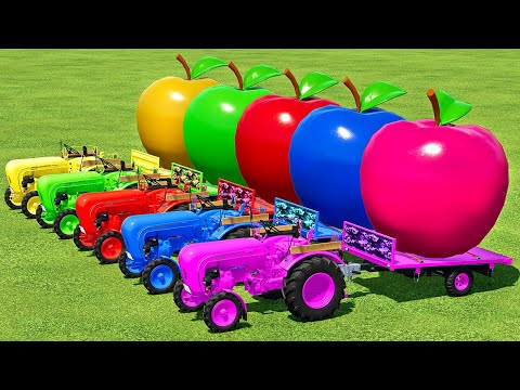 LOAD AND TRANSPORT GIANT APPLES WITH PORSCHE TRACTORS - Farming Simulator 22