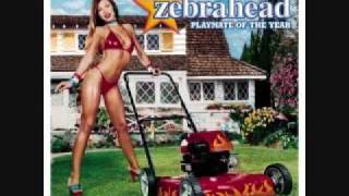 Zebrahead - Now Or Never