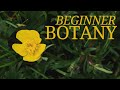 Botany For Witches