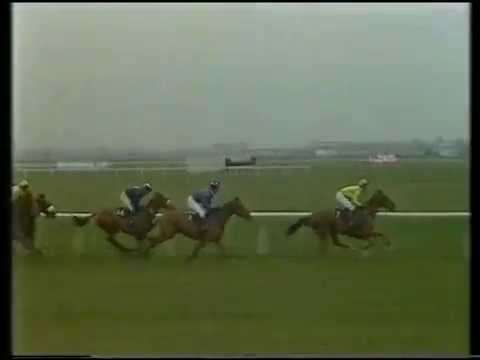 1988 Glenlivet Anniversary 4-y-o Novices' Hurdle