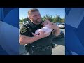 Greenville Co. deputy saves baby accidentally locked in car