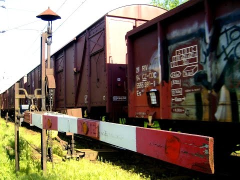 Vlak Do Natchez (Red Ball To Natchez / The Delmore Brothers ) s textem