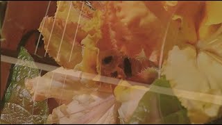 Fleurette Africaine, Duke Ellington