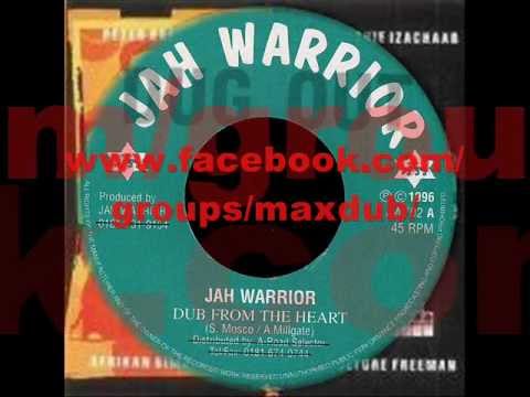 ANTHONY JOHN ~ TIME TO GROW + JAH WARRIOR ~ TIME TO DUB ~ JAH WARRIOR 12