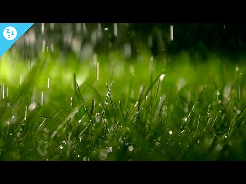 Muzyka snu z dźwiękiem deszczu, piękna muzyka fortepianowa, relaksująca muzyka