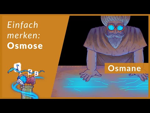 Osmose leicht erklärt | Eselsbrücken für Physiologie