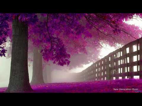 Omar Basaad Ft. Pre Kai Ro - Violet