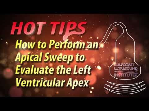 How to Perform an Apical Sweep to Evaluate the Left Ventricular Apex
