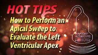 How to Perform an Apical Sweep to Evaluate the Left Ventricular Apex