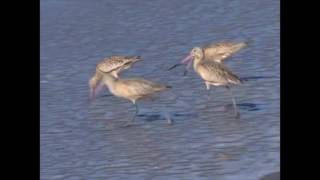 POWER OF YOUR LOVE (LYRICS) - REBECCA ST JAMES